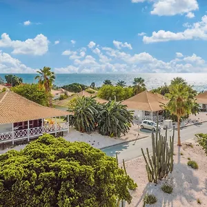Papagayo (adults Only) Виллемстад